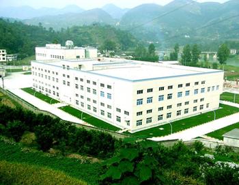 某制药企业财务管理咨询案例